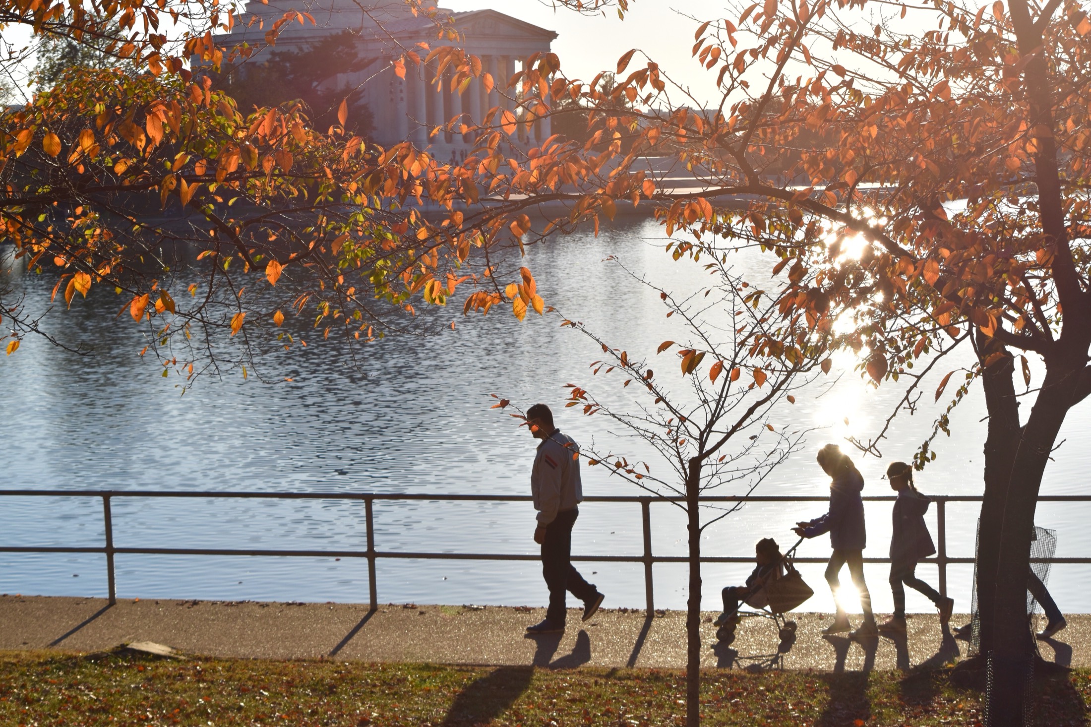 A family walking along the Tidal Basin in autumn