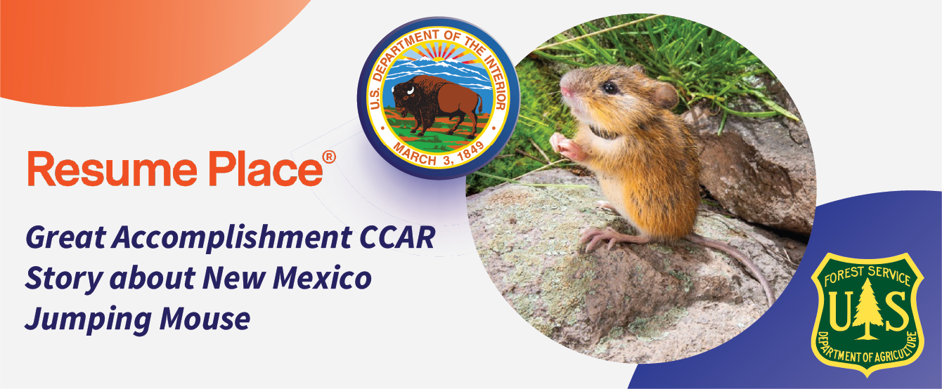 New Mexico Jumping Mouse CCAR
