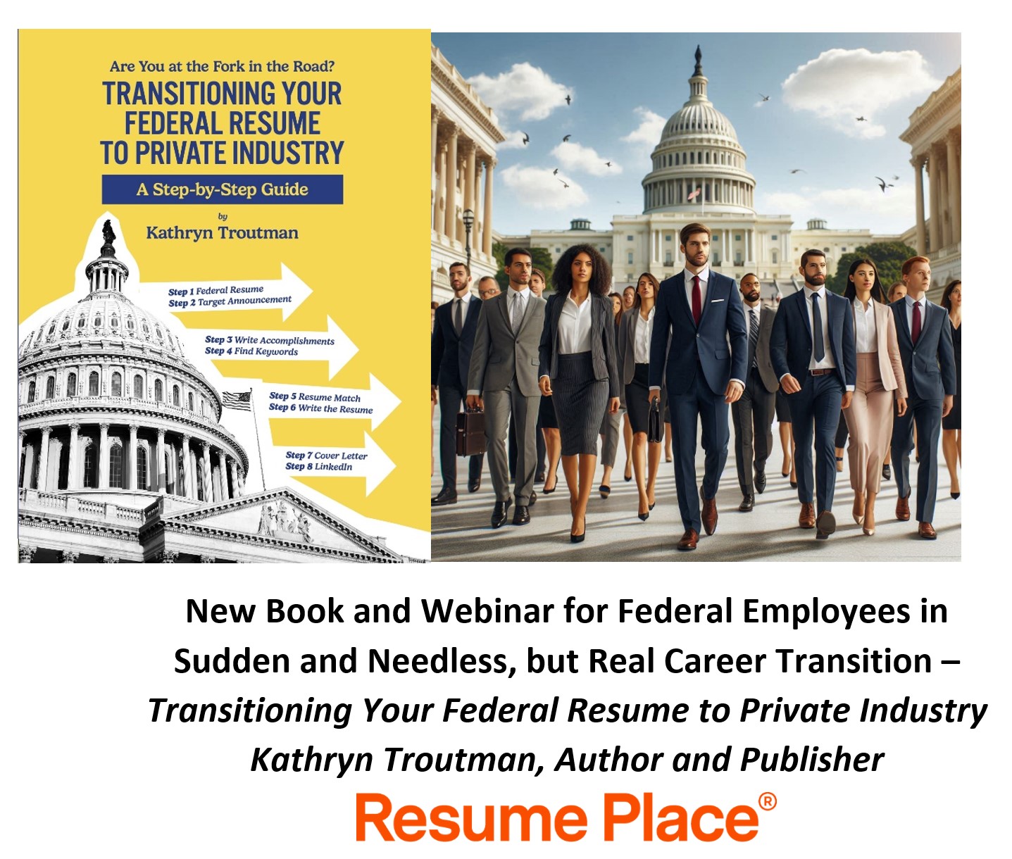 New Resume Writing Book for Sudden Job Searches